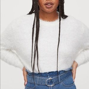 H&M Fuzzy Sweater